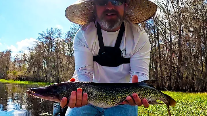 BIG Surprise While Jiggin' for Crappie! (unHOOKum ...