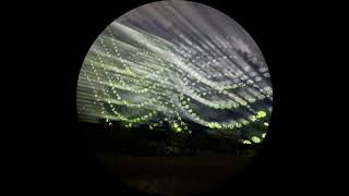 Minimal tech house mix (Traumer, Kerri Chandler, Chaos In The CBD...)