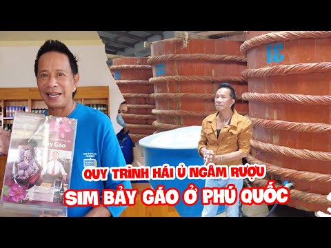 Video Danh Hài Bảo Chung Quay Cận Cảnh Quy Trình Hái Ủ Ngâm... - youtube