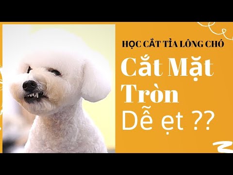 Video HỌC CẮT TỈA LÔNG CHÓ | Hướng Dẫn Cắt Mặt Tròn Cho Chó... - youtube