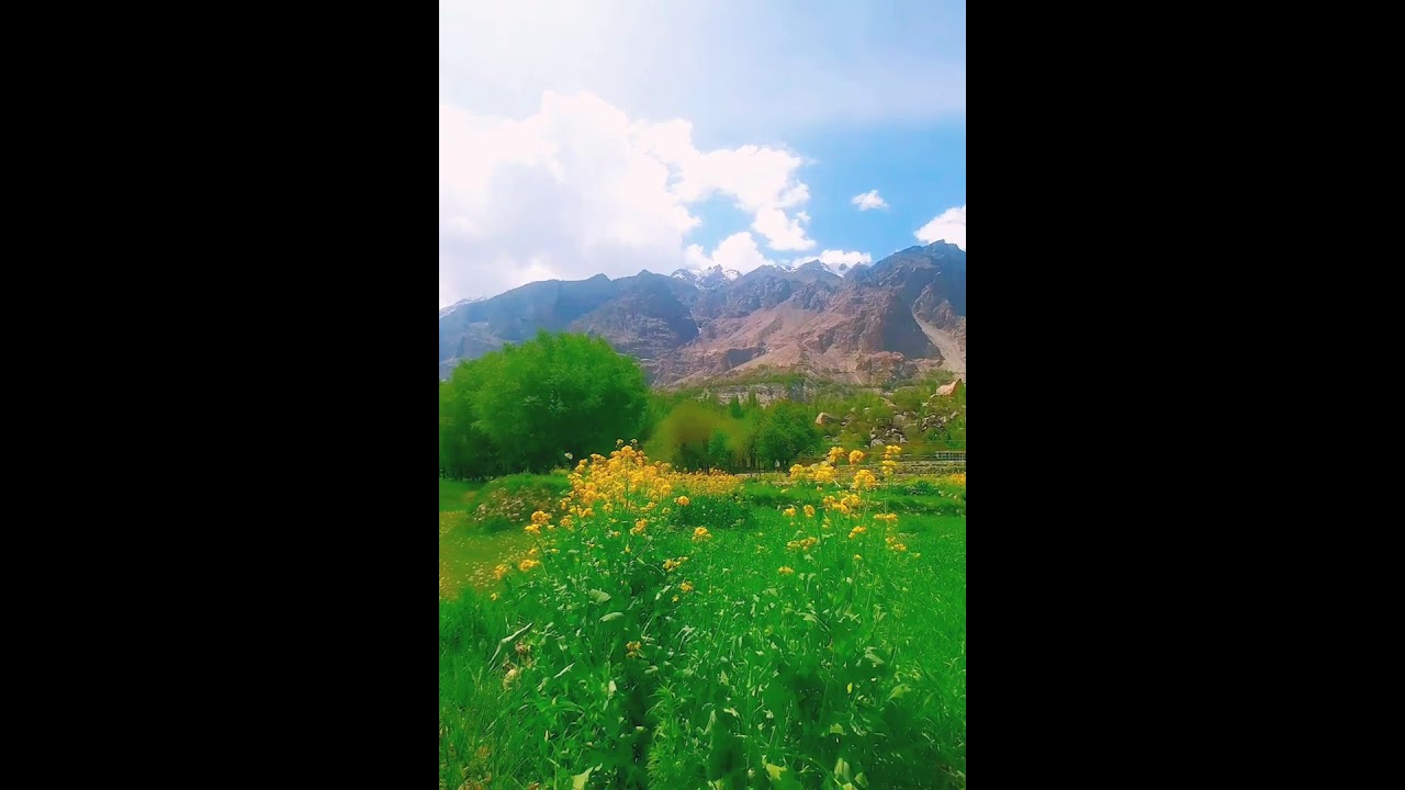 Whatsapp Status Nature Scenery Butterflies Spring flowers Greenry