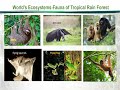 ZOO507 Principles of Animal Ecology Lecture No 71