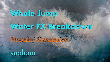 Houdini Whale Jump Dynamic Simulation Water Fluid FX Breakdown