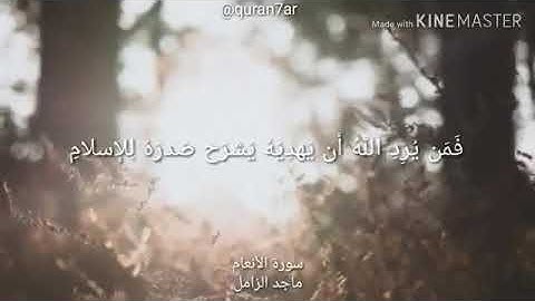 ما تيسر من سورة الأنعام ماجد الزامل