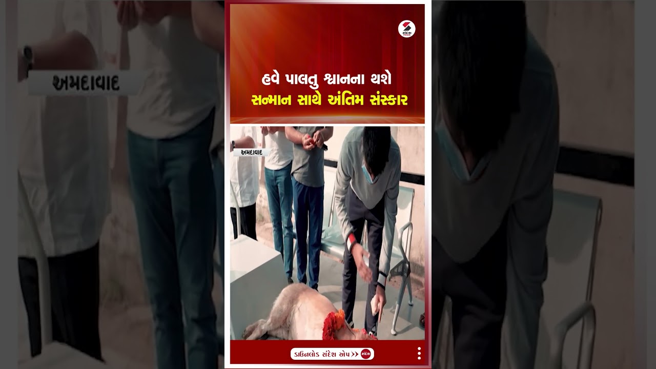 Ahmedabad  | હવે પાલતુ શ્વાનના થશે સન્માન સાથે અંતિમ સંસ્કાર | Pet Dog | Gujarat |