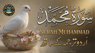 Surah Muhammad With Urdu Hindi Translation🍀 | Relieve Stress & Calm Recitation |🎙️ Mansoor Ghaznavi