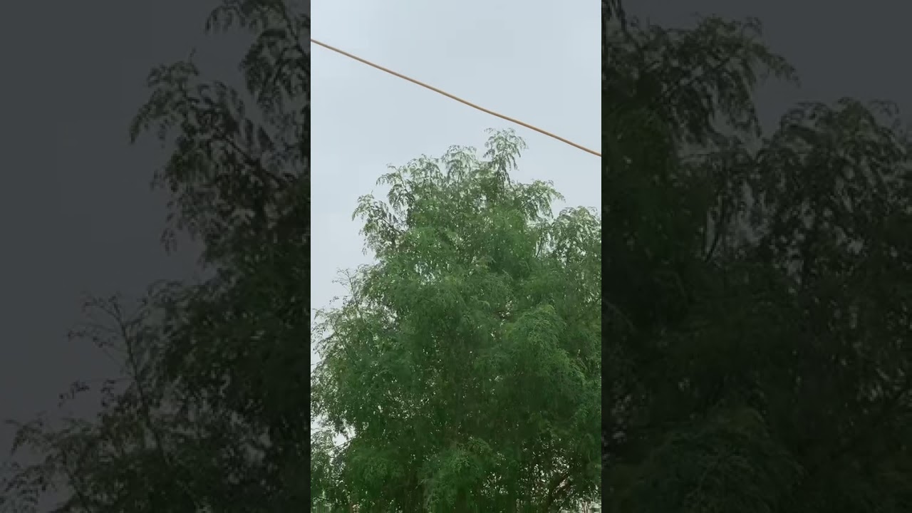 1 January 2022 Welcome 2022 | Happy New Year WhatsApp Status | new year status | happy new year |