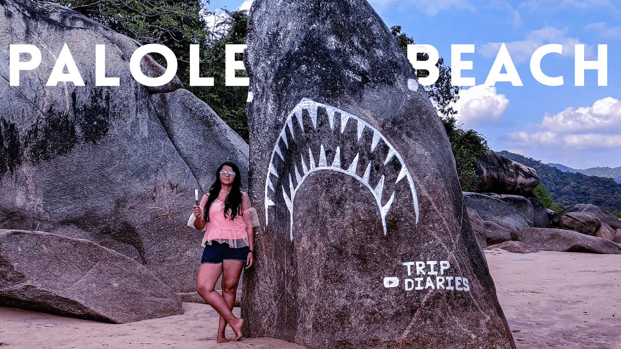 Palolem Beach shark stone in South Goa | Drone Shots | Vish and Trip | Mavic Mini