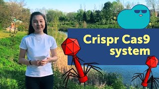 CRISPR Cas9 system by Yenlik Salybayeva Breakthrough Junior Challenge 2019