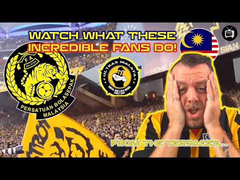 Video: Harimau Malaya: deskripsi, foto