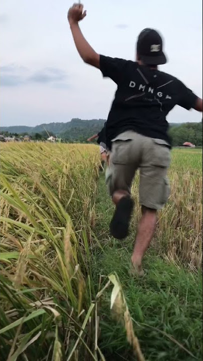 Story wa laskar pelangi