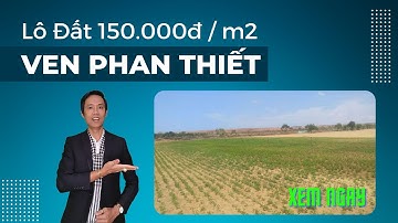 Cùng xem lô đất ven Phan Thiết chỉ 150ngàn/m2 như thế nào | Nhà Đất Phan Thiết