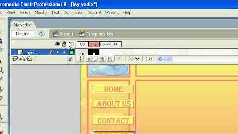 Make full website with flash part 2