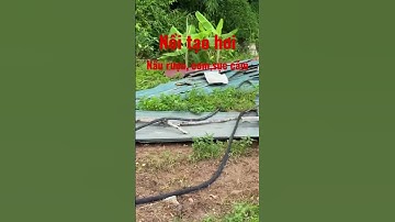 Nồi tạo hơi,nấu rượu,cơm,sục cám lợn - nồi hơi nấu rượu bằng bảy Sđt 0976713638 #shorts