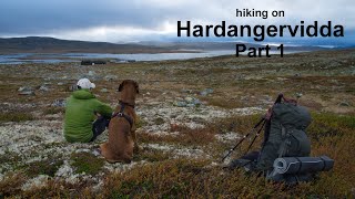 Hiking on Hardangervidda  8day round trip with dog  Part 1
