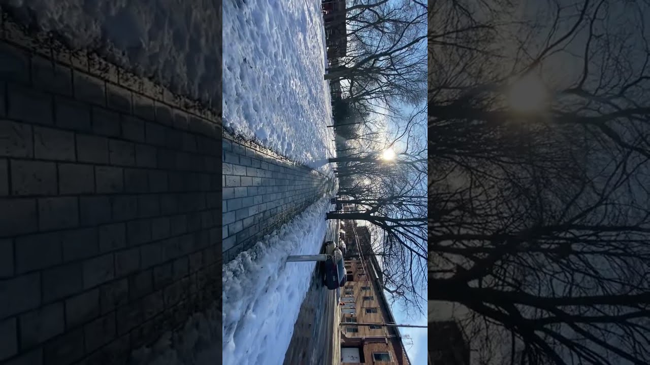 কপিরাইট ফ্রি-Copyright free - POM POM