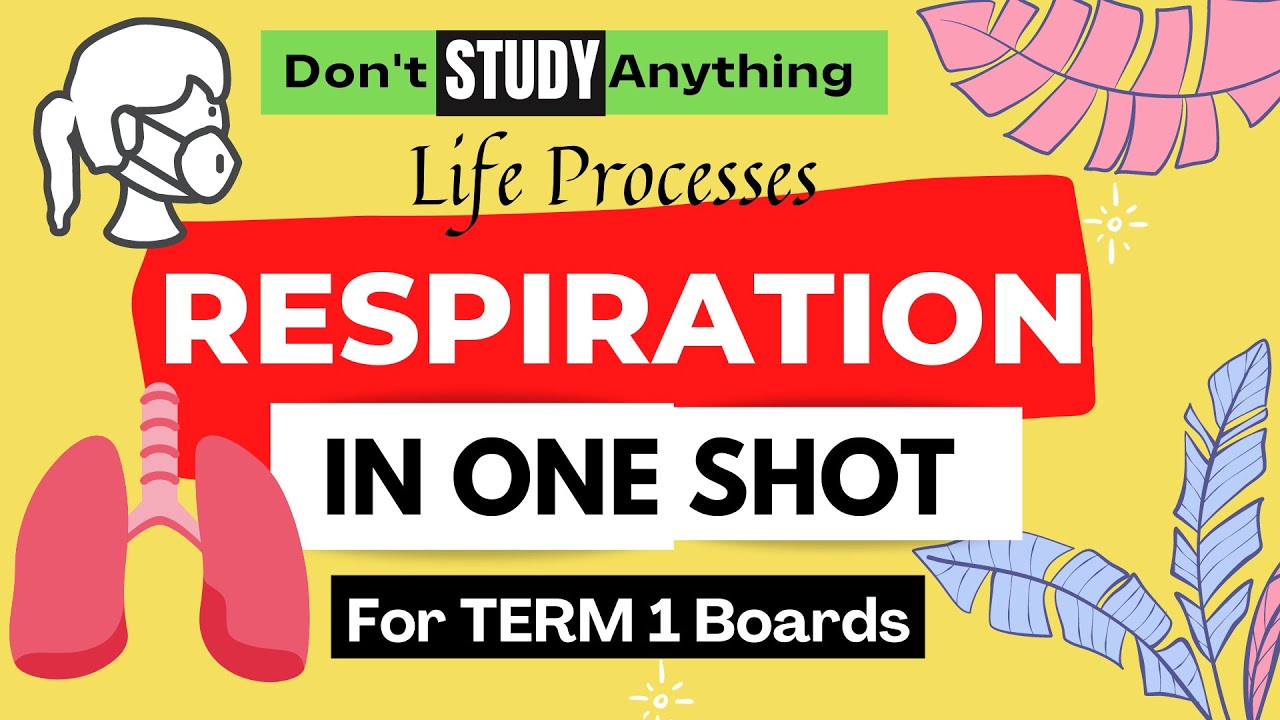 Easy Way Full Respiratory System in Hindi Class 10 One Shot