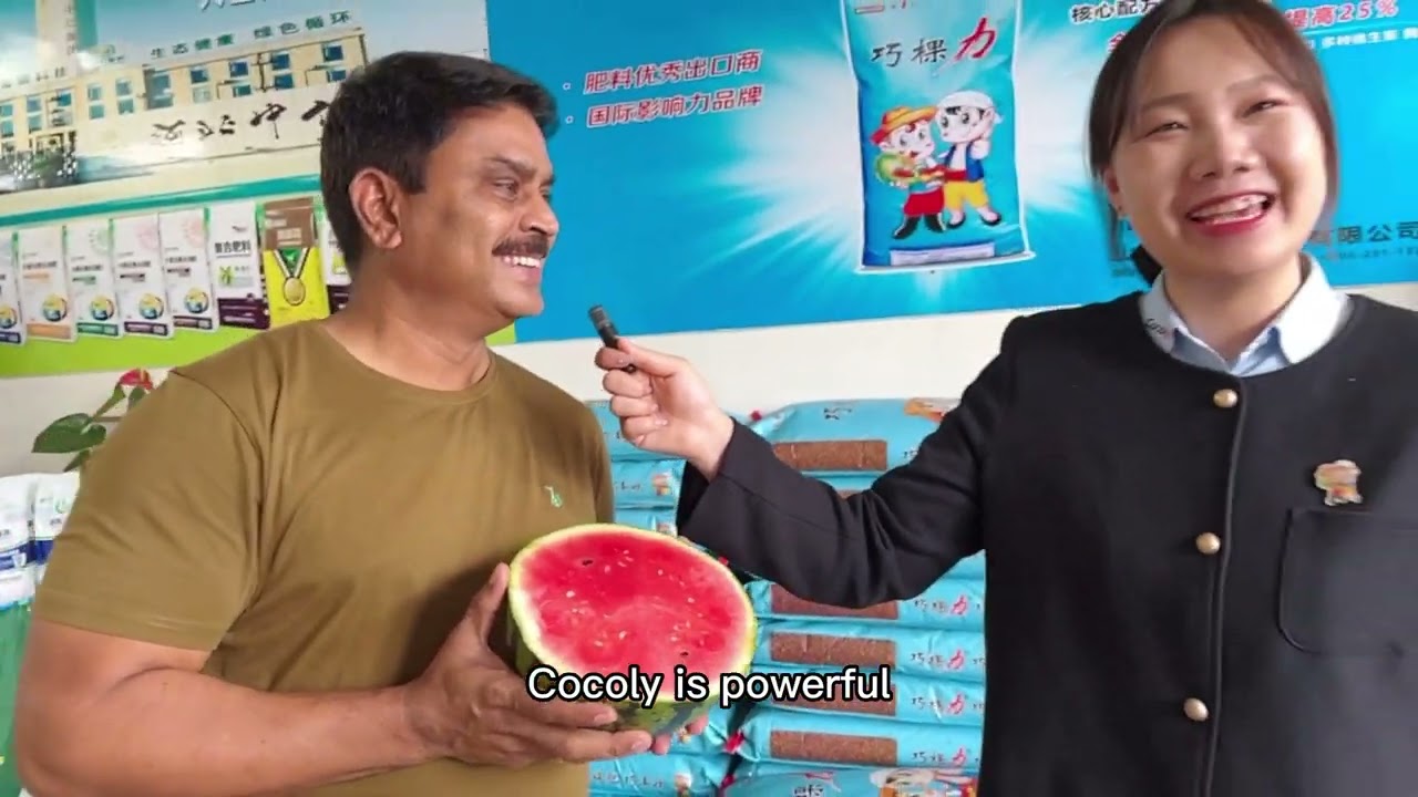 India agent said cocoly fertilizer has good feedback on watermelons and will roll out on more crops