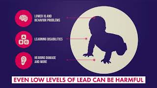 Test Your Child for Lead at Ages 1 and 2   ENGLISH
