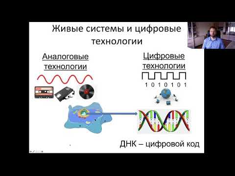 Video: Aspekty Bioinžinierstva V Regeneratívnej Medicíne Pečene