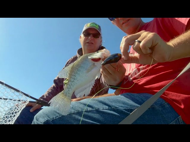 Pulling Crank baits for Crappie 