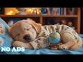 12 Hours Of Dog Calming Music 🌿 Music to Help Dogs Feel Happy 🐶 Comfort for Lonely Pets