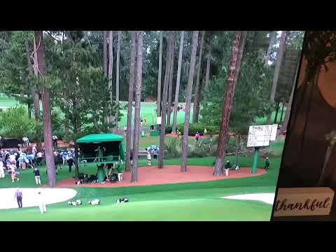 Tree falls at the Masters, man almost crushed! #masters