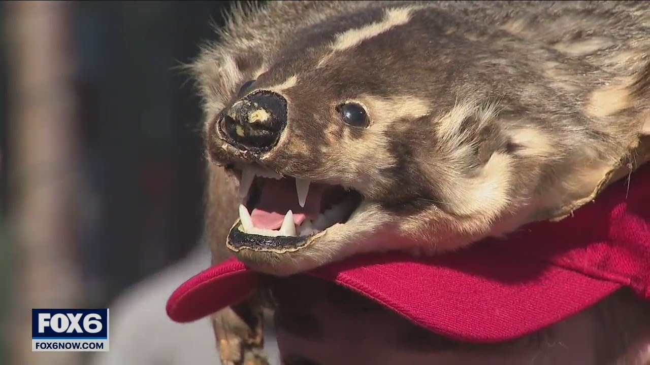 Badgers Fiserv Forum NCAA Tournament games home-court environment | FOX6 News Milwaukee