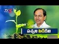 PD Act against teakwood smugglers: KCR