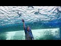 Behind The Scene / TOKYO / JAPAN / IKEBUKURO / SUNSHINE AQUARIUM