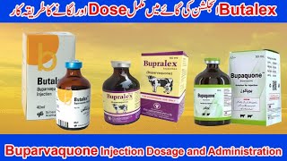 Buparvaquone injection | Butalex injection | Dose of Buparvaquone | Theileriosis in cattle