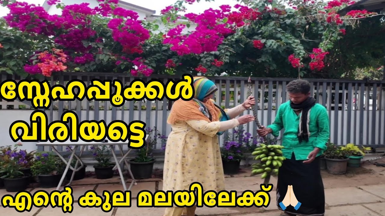 പുതുവർഷ പുലരിയിൽ ഒരു മതസൗ ഹാർദ്ദം vdo കണ്ടാലോ 🙏🏻