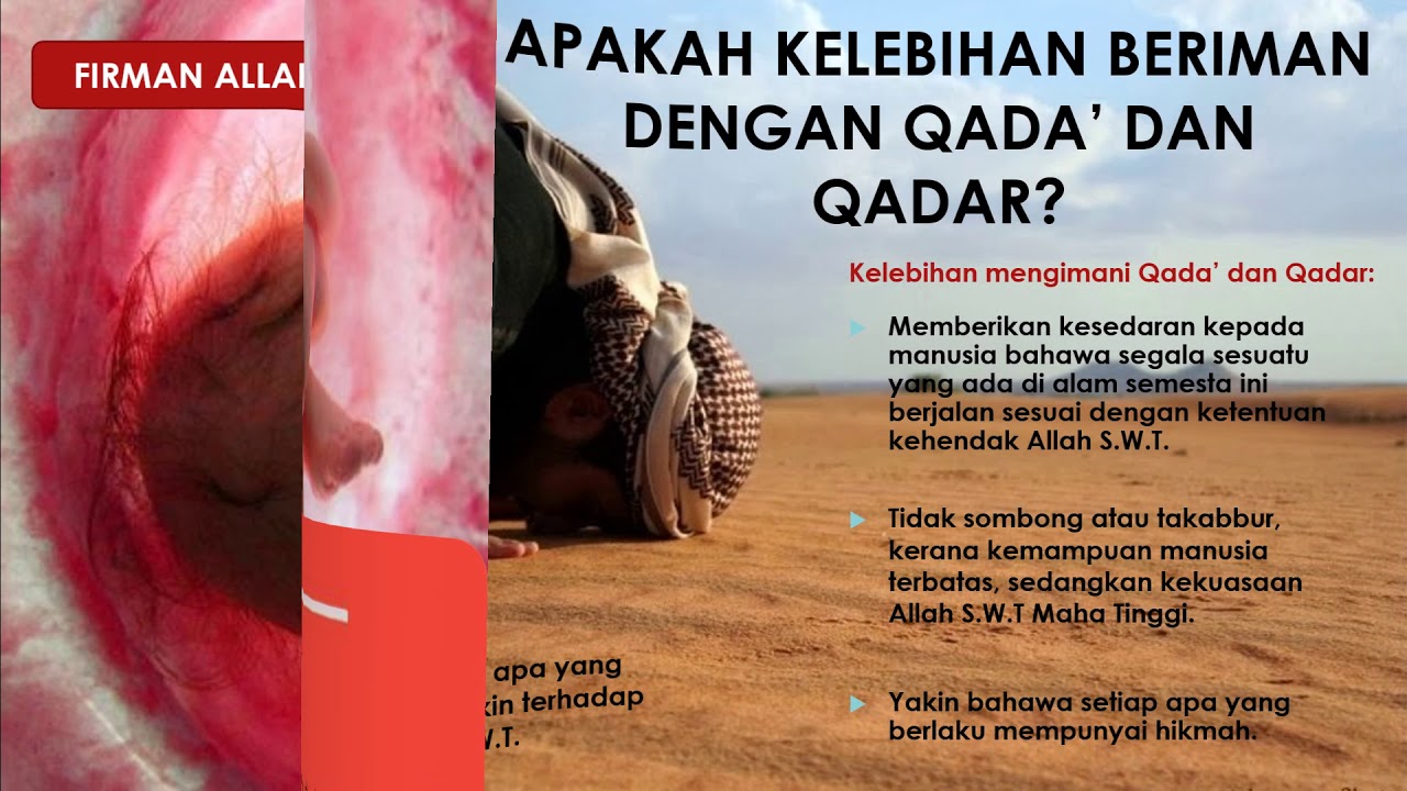 Faedah beriman kepada qada dan qadar