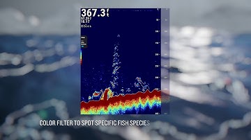 CS 1522 Marine Professional Fishfinder: Send Your Crew to Catch More Fish