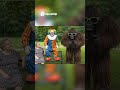 Clown, Gorilla, Fowl You won't BELIEVE what happens next! #evilclown#bigfoot