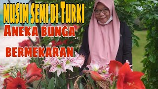 Musim Semi Di Turki. Indo Turki Family 🇮🇩🇹🇷 Musim Semi Di Turki. Indo Turki Family 🇮🇩🇹🇷