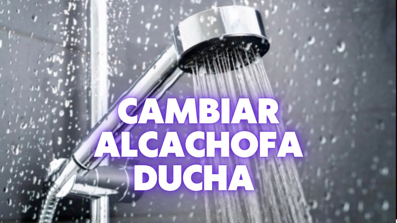 ✓Cambiar alcachofa y manguera de ducha 