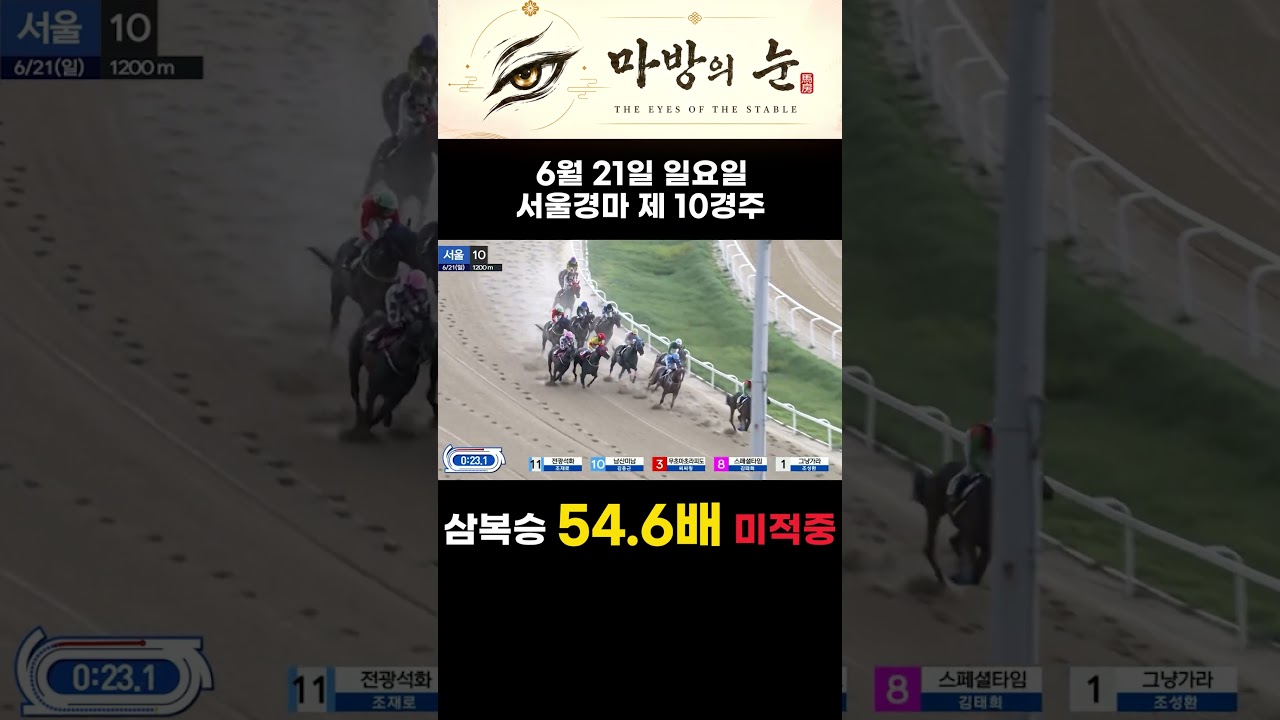 6월 21일 서울 제10경주 삼복승 54.6배 아쉬운 미적중..