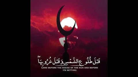 أجمل حالات واتس اب قرآن كريم بصوت جميل جدا Quran status #بدون_حقوق​