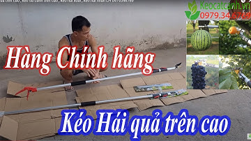 Kéo cắt cành trên cao  Nên chọn mua mẫu mẫu 3m hay 5m keocatcanh.vn