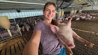 What It's Actually Like Raising 1,200 Pigs