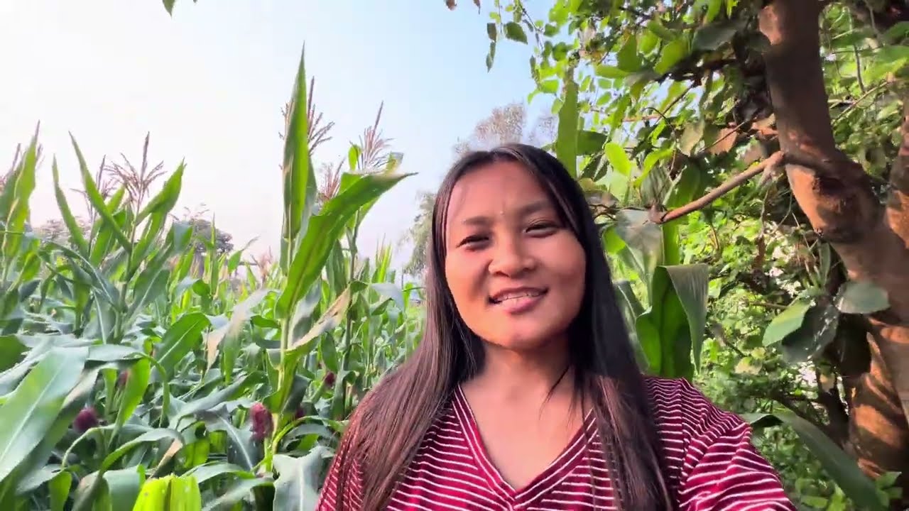 लसुनमा पानी लाउदै आफ्नै बारिमा फलेको तरकारी टिप्दै🙈😂@usharai5350 