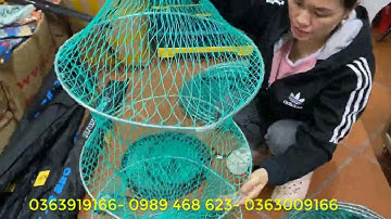 Rọng xanh đựng cá giá rẻ, chất liệu đẹp, bền, gấp gọn mọi tư thế giá 50-80-90k- giọng cá bình dân