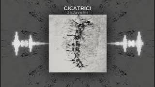 Cicatrici