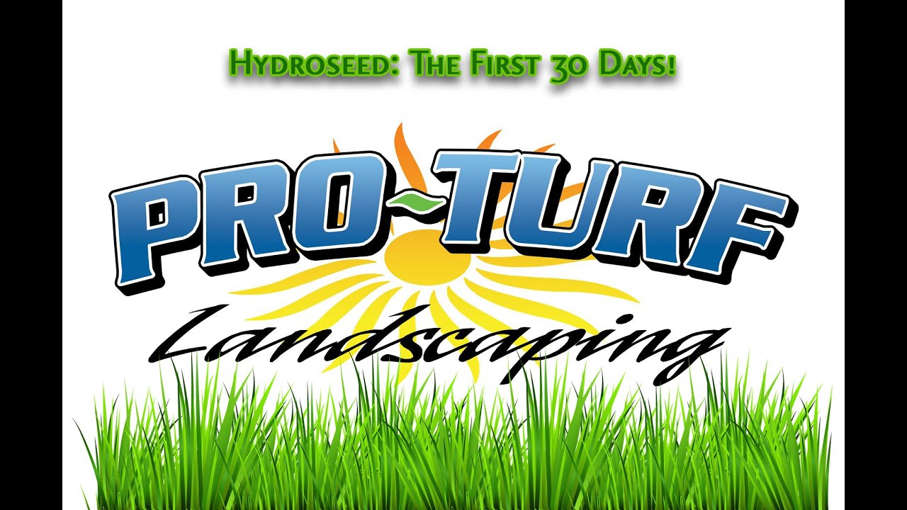 Hydroseed 30 Days Time Lapse ProTurf Landscaping YouTube