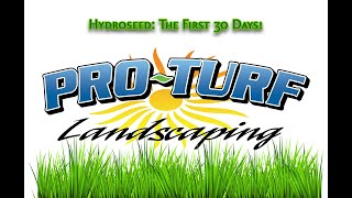 Hydroseed 30 Days Time Lapse | Pro-Turf Landscaping