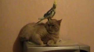 20120111_193025.mpg