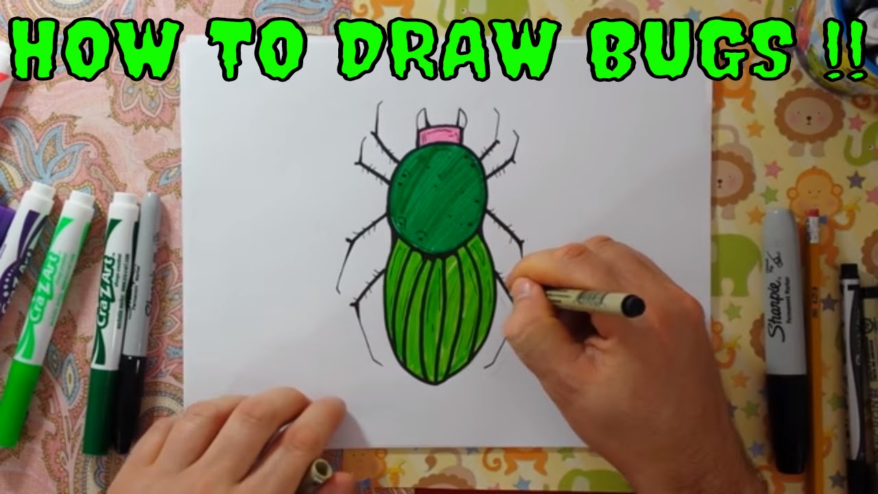 How to draw Bugs Learning to Color and Draw Insects - YouTube