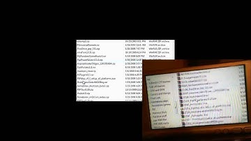 [ psp 3000 ] 5.03 gen-c pspdisp v.05 remotejoylite v.19 and camtasia on pc fun
