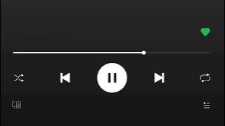 music player without timer, liked (spotify) overlay 2k - 1440p (without music) · (horizontal)